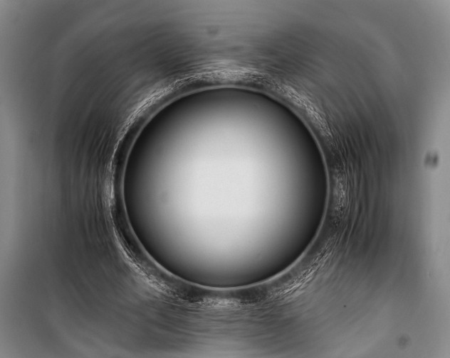 X0000100940582200807011247