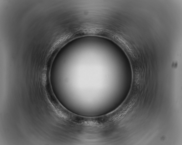 X0000100940586200807011247