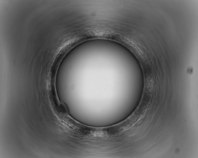 X0000100940587200807011247