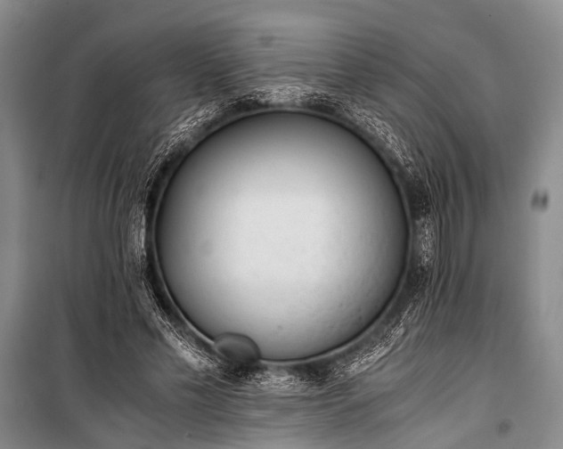 X0000100940589200807011247