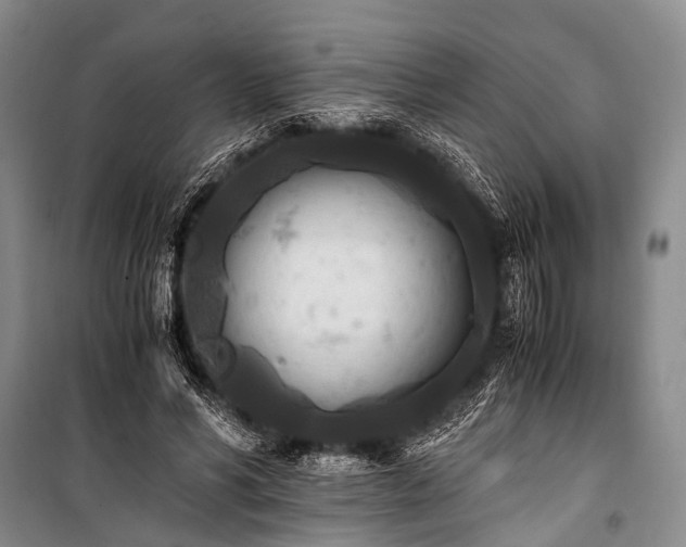 X0000100940590200807011247