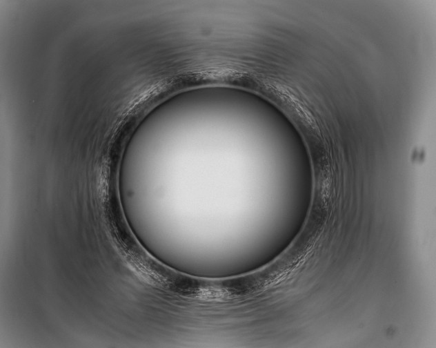 X0000100940591200807011247