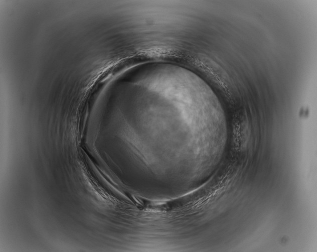 X0000100940592200807011247