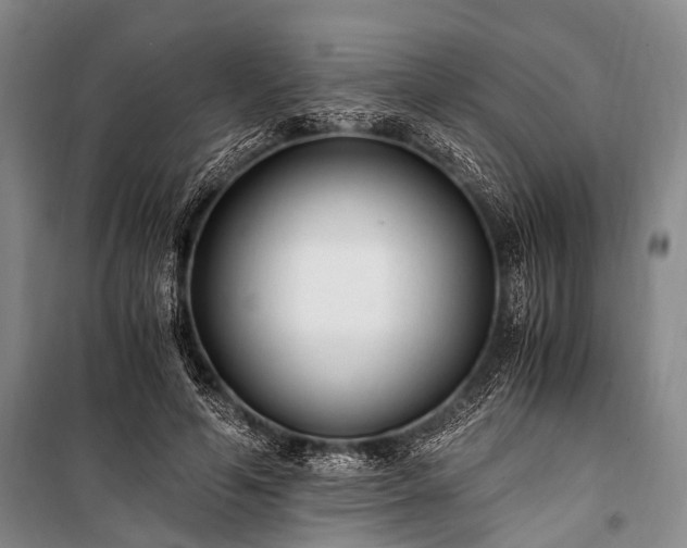 X0000100940594200807011247