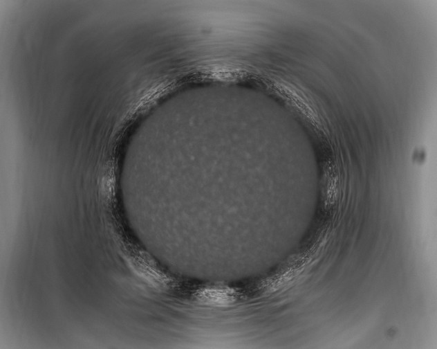 X0000100940595200807011247