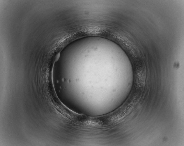 X0000100940596200807011247