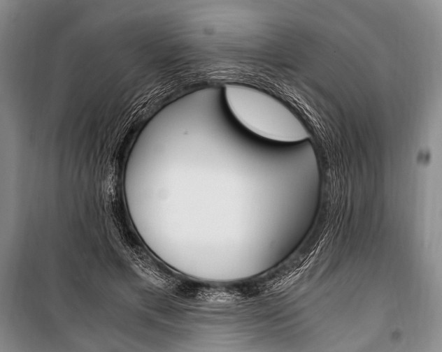 X0000100940597200807011247