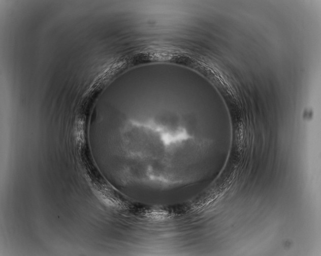 X0000100940598200807011247