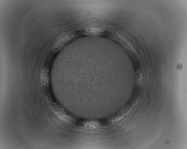 X0000100940599200807011247