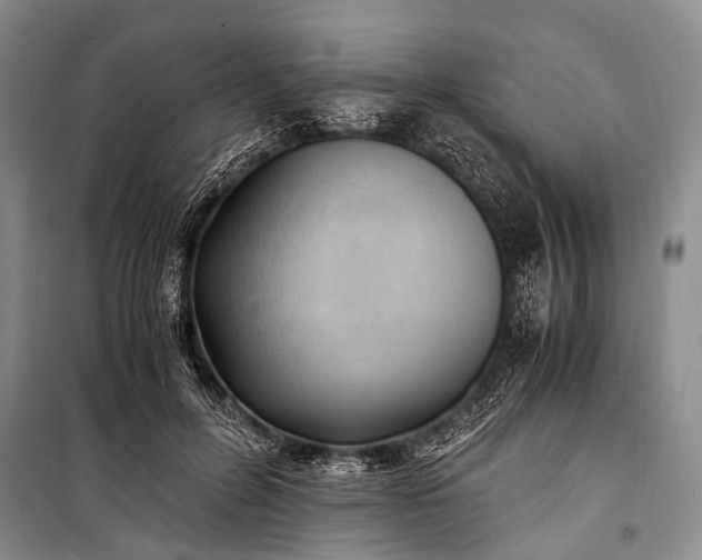 X0000100940600200807011247