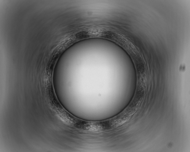 X0000100940601200807011247