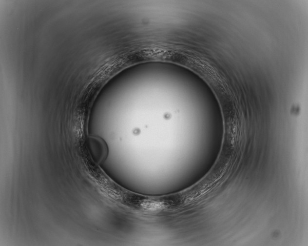 X0000100940602200807011247