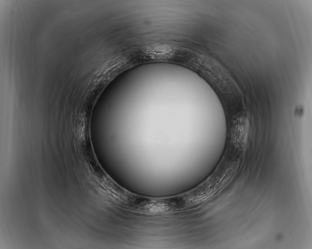 X0000100940604200807011247