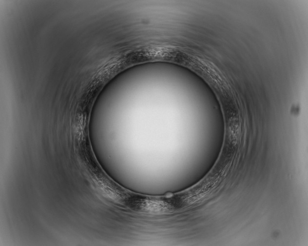 X0000100940605200807011247