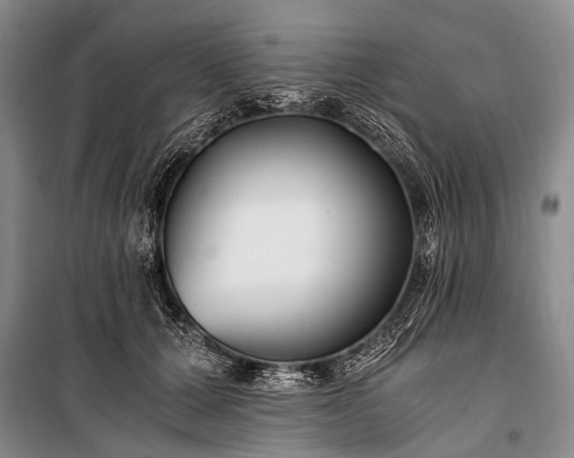 X0000100940607200807011247