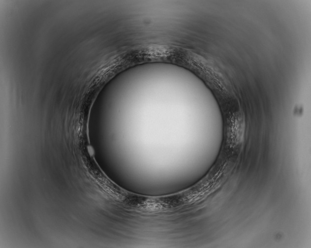 X0000100940608200807011246