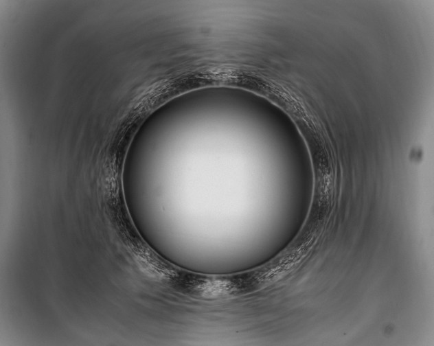 X0000100940609200807011246