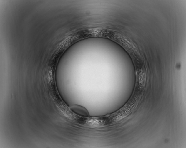 X0000100940611200807011246