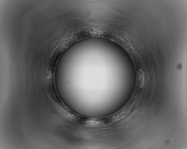 X0000100940614200807011246