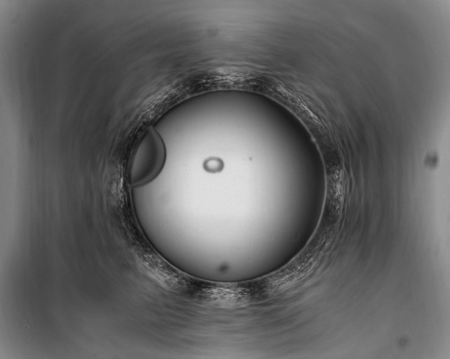 X0000100940615200807011246