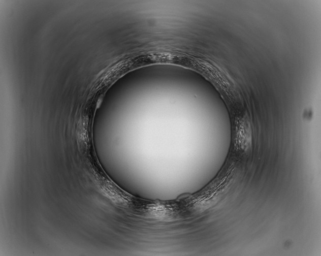 X0000100940616200807011246