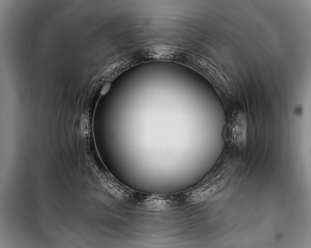 X0000100940620200807011246