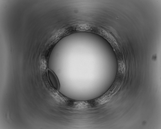 X0000100940621200807011246