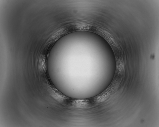 X0000100940622200807011246