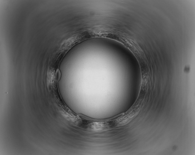 X0000100940623200807011246