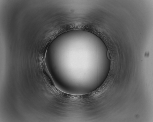 X0000100940624200807011246