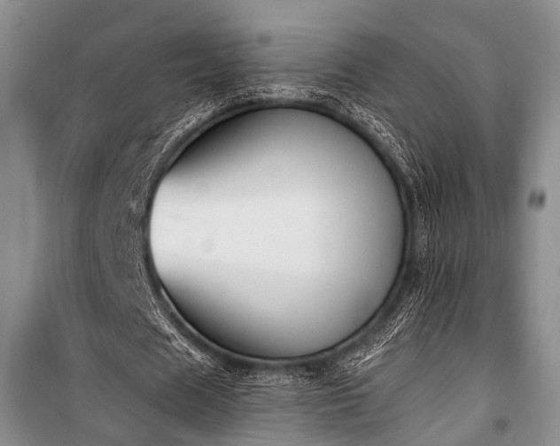 X0000100940625200807011245