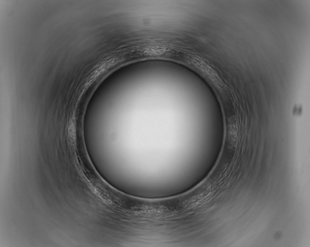 X0000100940626200807011245