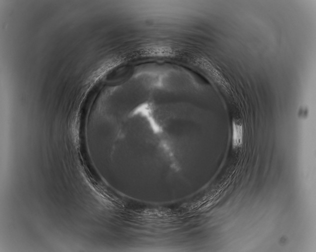 X0000100940627200807011245