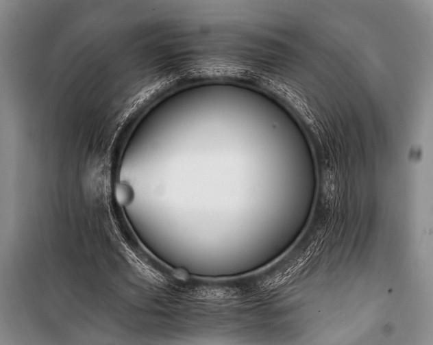 X0000100940629200807011245