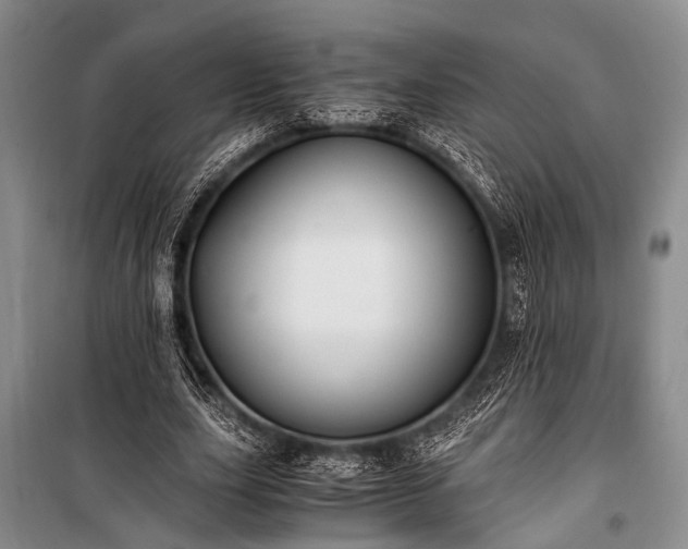 X0000100940631200807011245