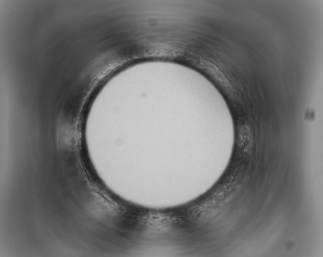 X0000100940632200807011245