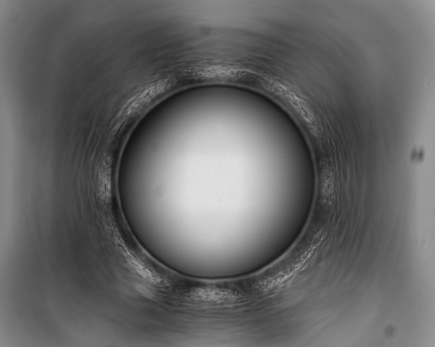 X0000100940633200807011245