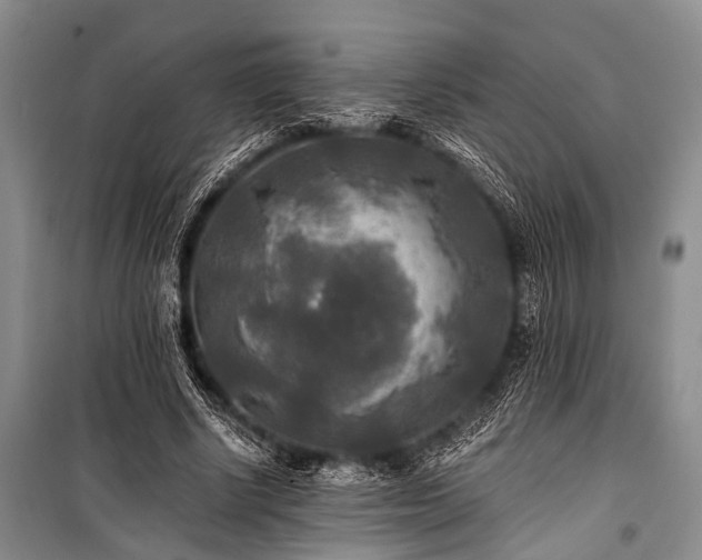 X0000100940634200807011245