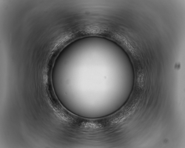 X0000100940635200807011245