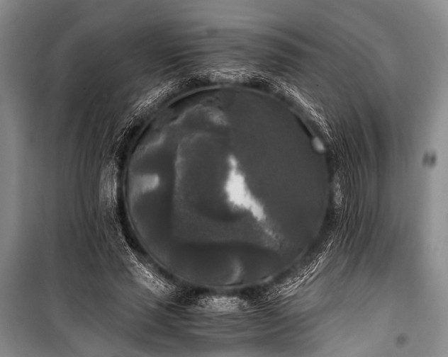 X0000100940637200807011246