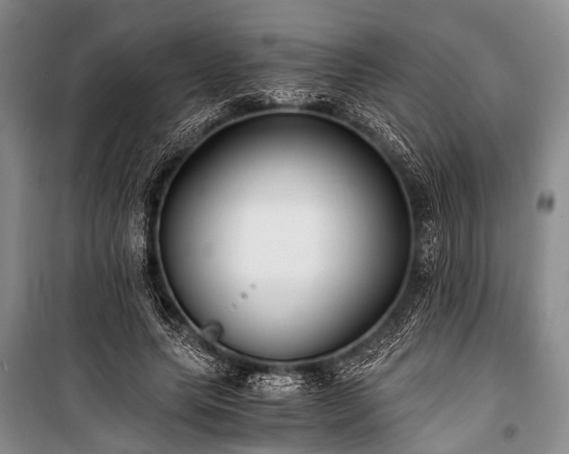 X0000100940639200807011246