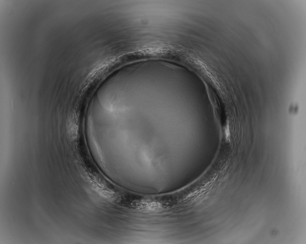 X0000100940640200807011246