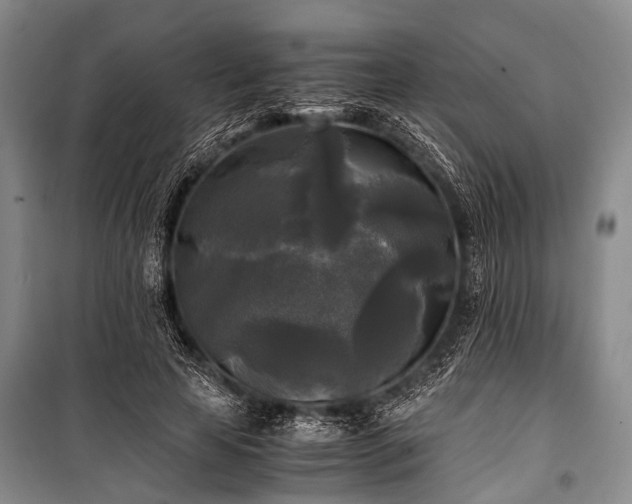 X0000100940641200807011246