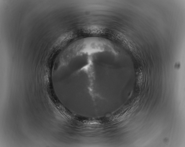 X0000100940643200807011246