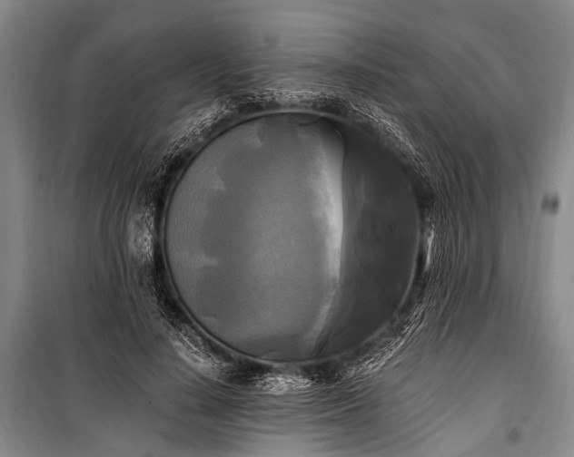 X0000100940644200807011246