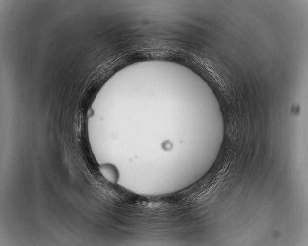 X0000100940645200807011246