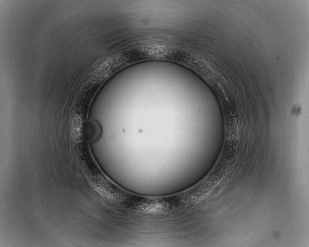 X0000100940646200807011246