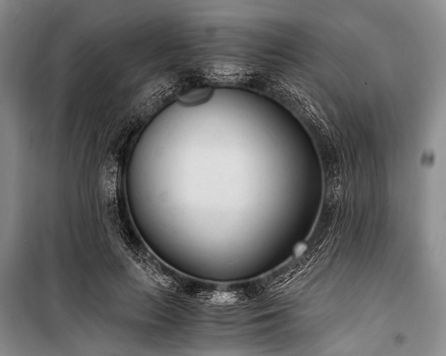 X0000100940647200807011246