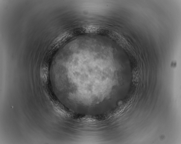 X0000100940648200807011246