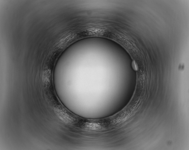 X0000100940649200807011246